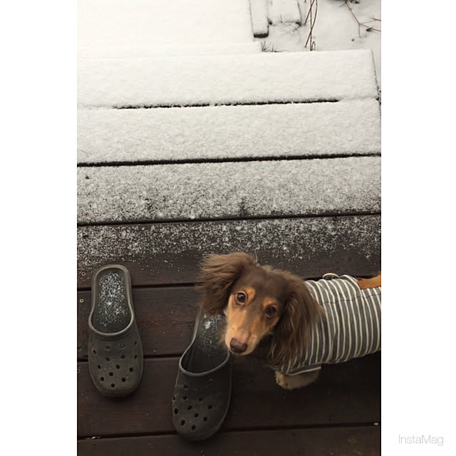 yupponさんの実例写真