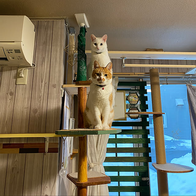 SHIHOさんの実例写真