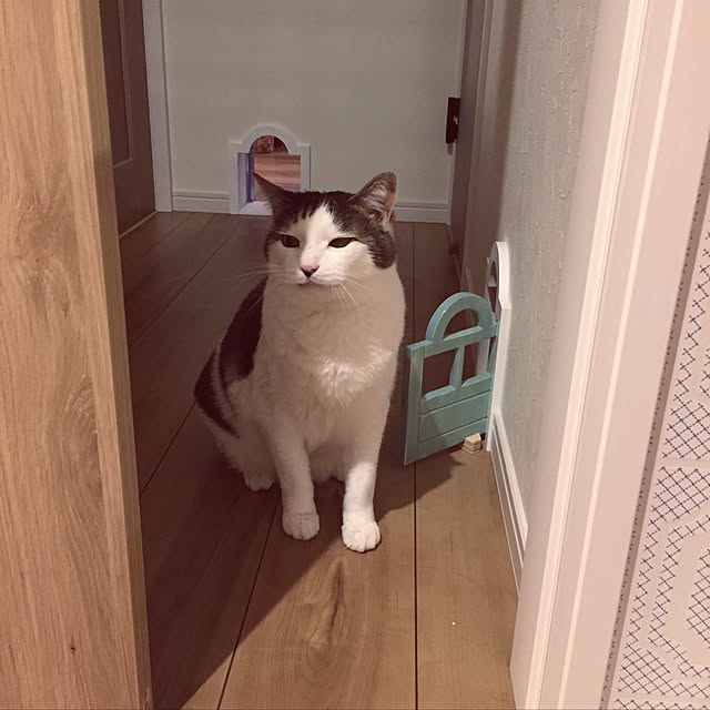 popokoさんの実例写真