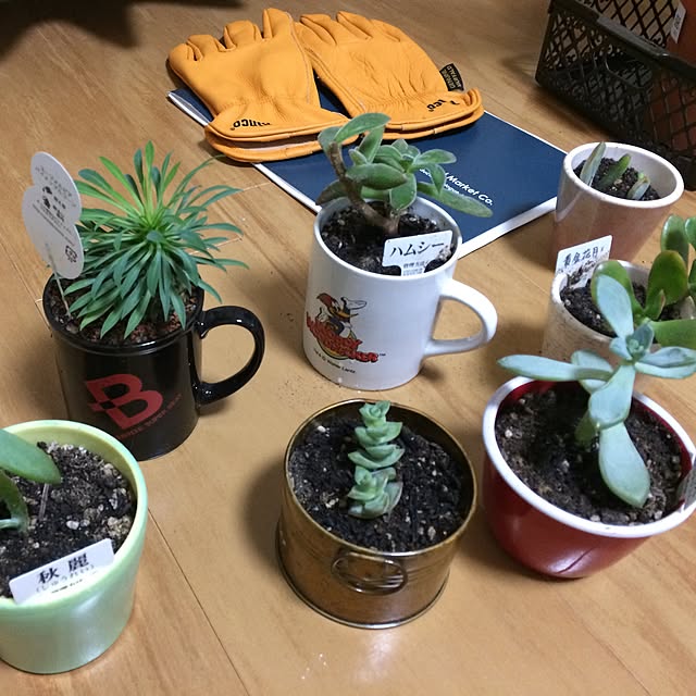 sabisukeさんの実例写真