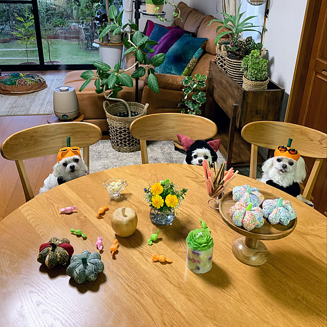 ponyoさんの実例写真