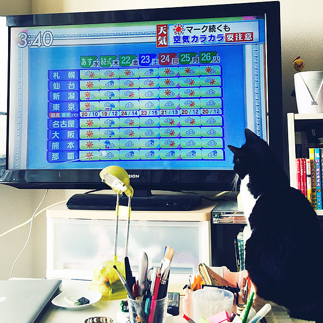 mikoさんの実例写真