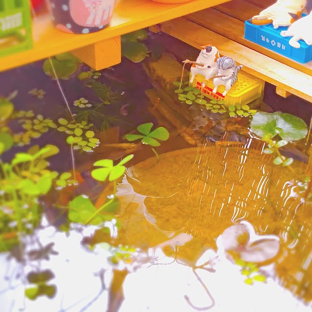 mariaさんの部屋