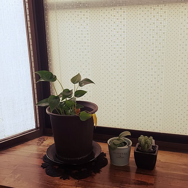 mamanさんの実例写真