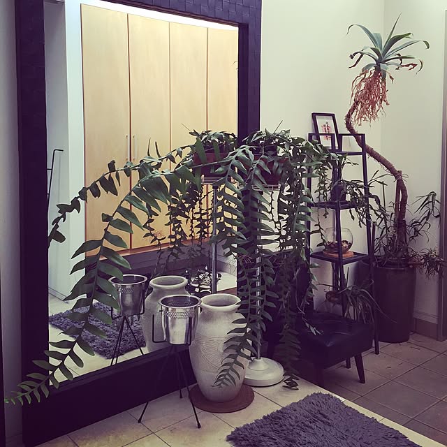 chicha1010さんの実例写真