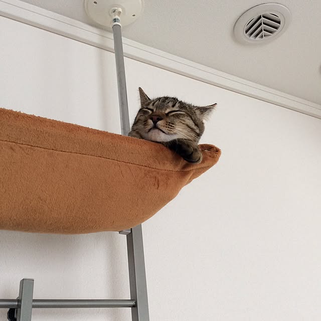 kimihadukiさんの実例写真