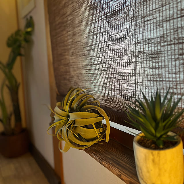 rookuさんの部屋