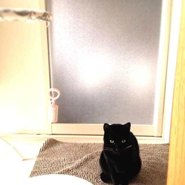 kosameさんの実例写真