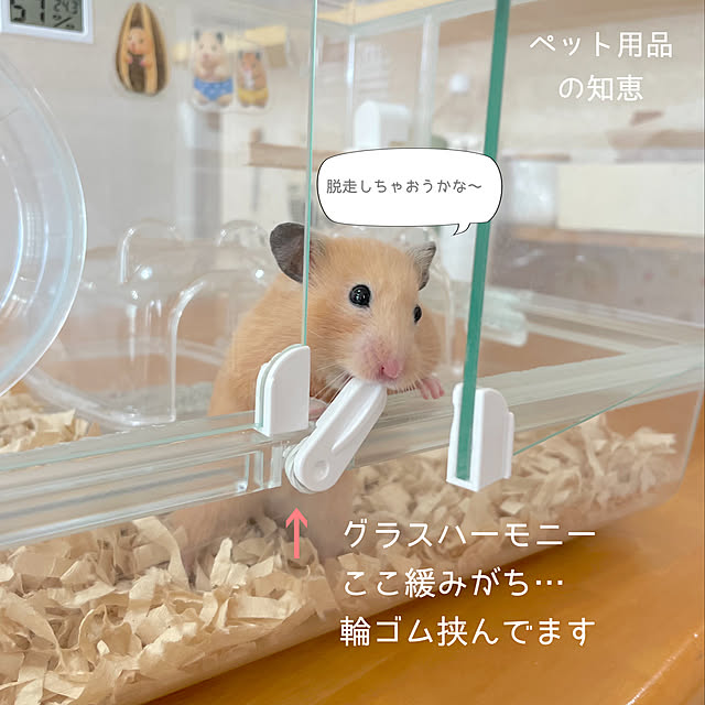 Minoriさんの実例写真