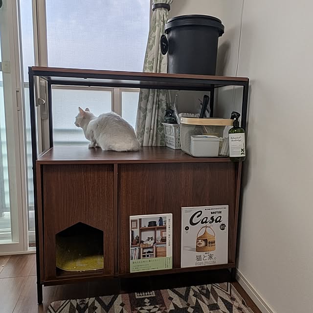 necoさんの部屋