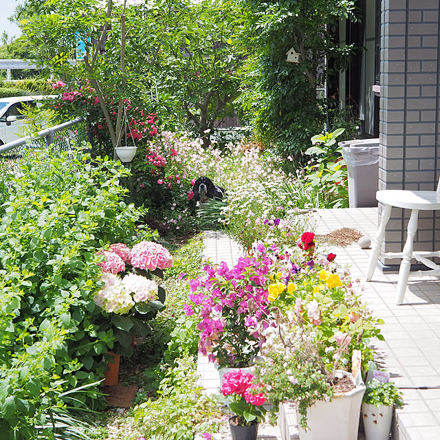 RosePanierさんの実例写真