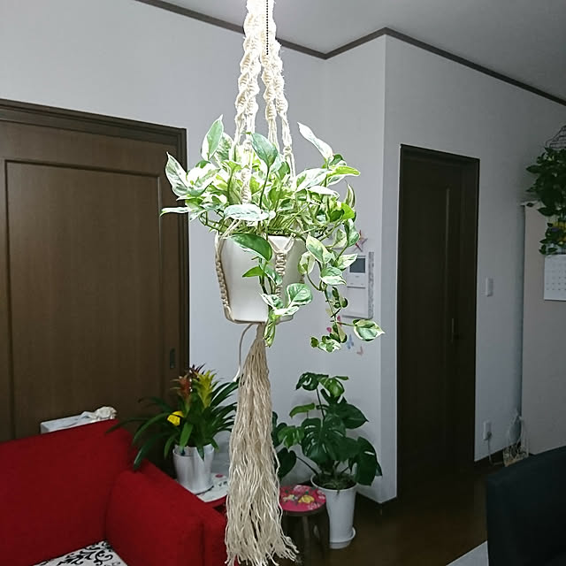 mayuroseさんの実例写真