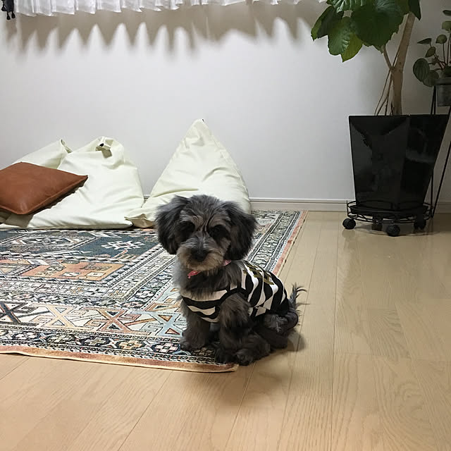 Esさんの実例写真