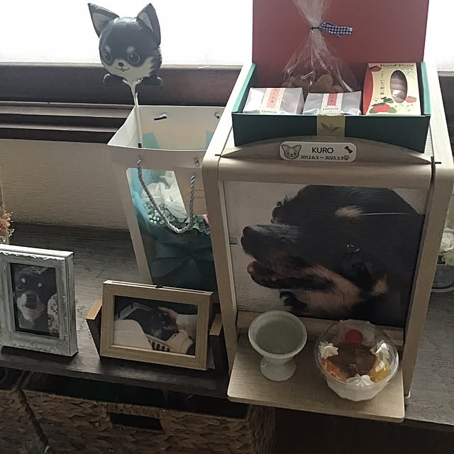 sakuさんの部屋