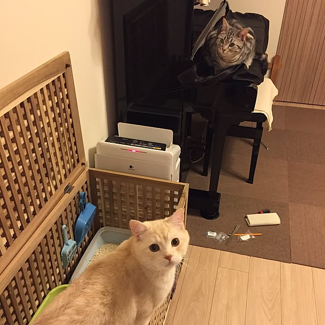 y.k.0123さんの実例写真