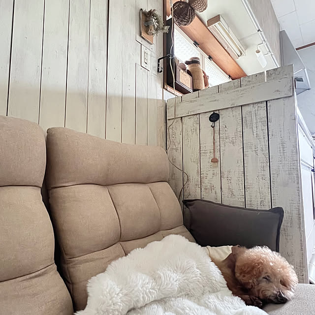 rookuさんの実例写真