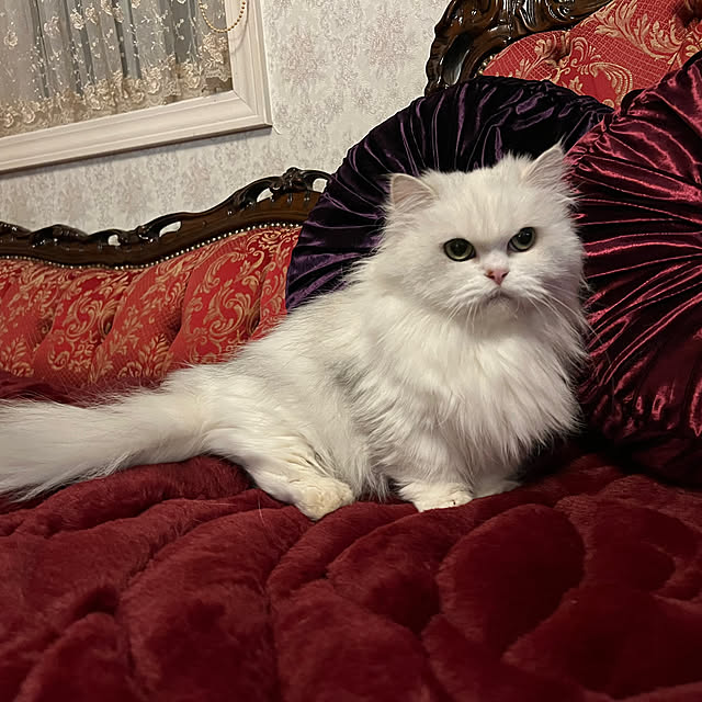 AYUKOさんの部屋