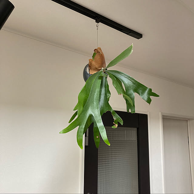 Mukoさんの実例写真