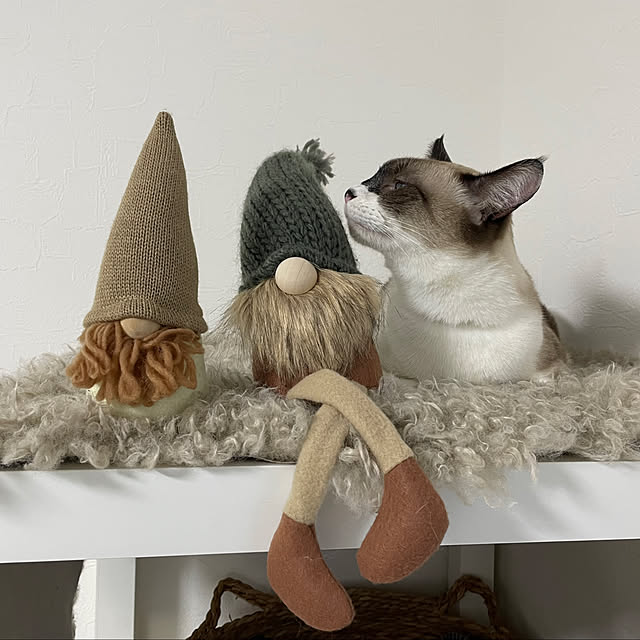 ibuさんの部屋