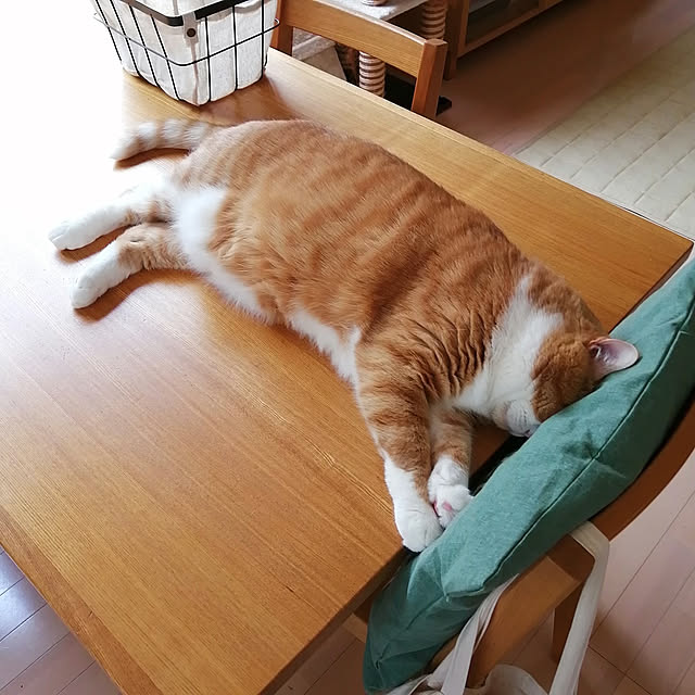 mi123さんの実例写真