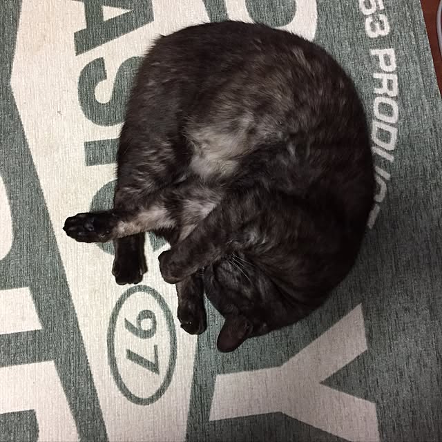 Mihoさんの実例写真