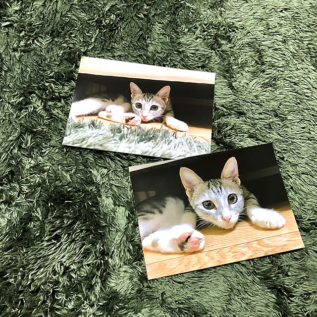 Honamiさんの実例写真