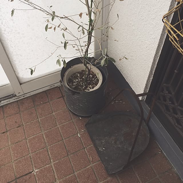 roniqueさんの実例写真