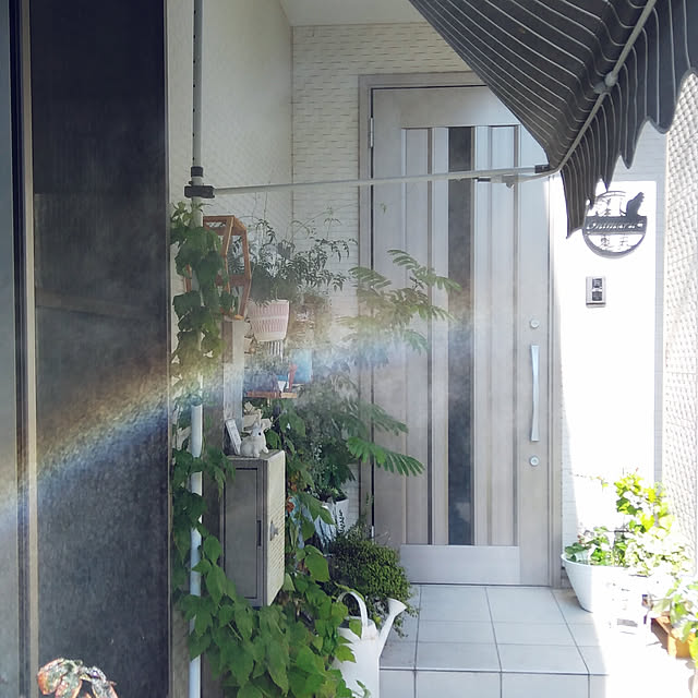 Gomaさんの実例写真