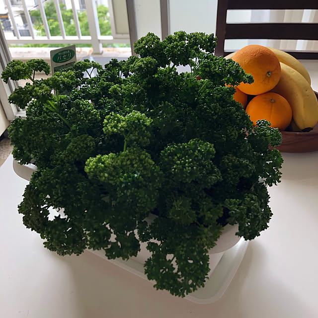Mitsuさんの実例写真