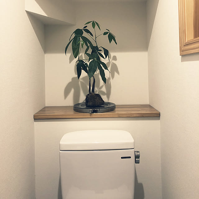 バス/トイレ/NO GREEN NO LIFE/観葉植物/ナチュラルのインテリア実例 - 2018-08-01 20:40:41