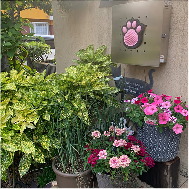 yukarin-gardenさんの実例写真