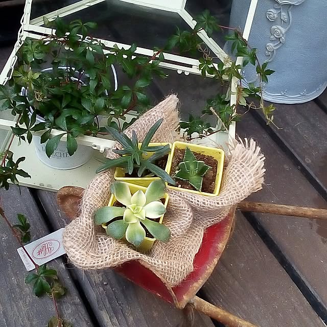 mariagardenさんの実例写真