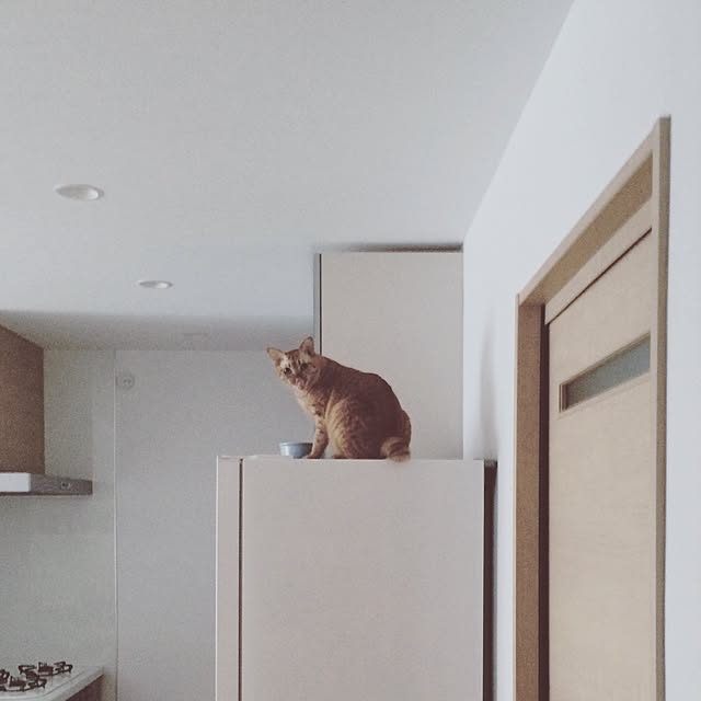 HRMLRさんの実例写真