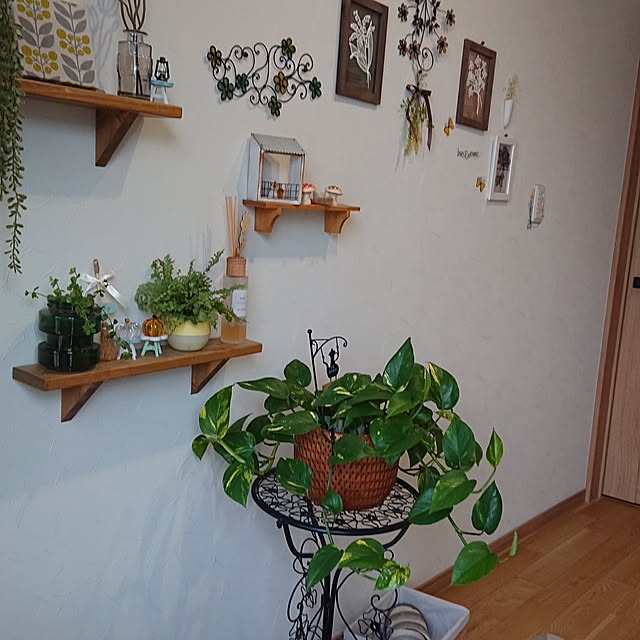 demekinさんの実例写真