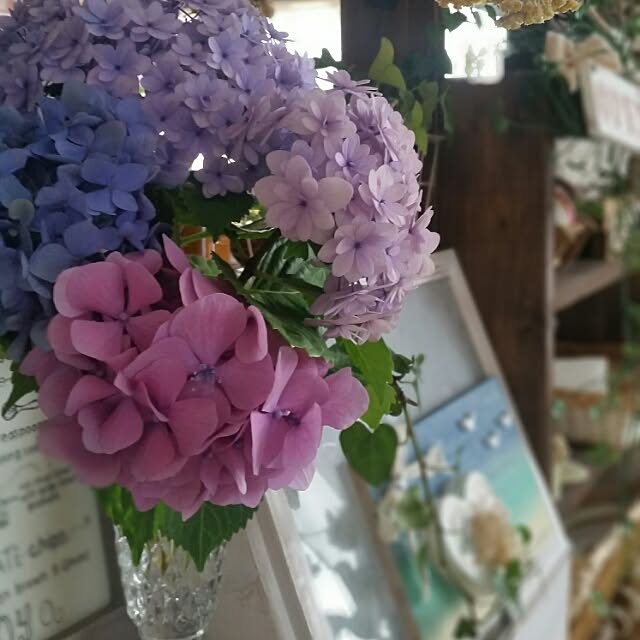 hitomiさんの実例写真