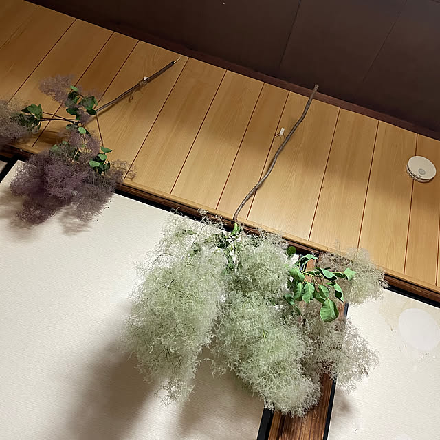 hameさんの部屋