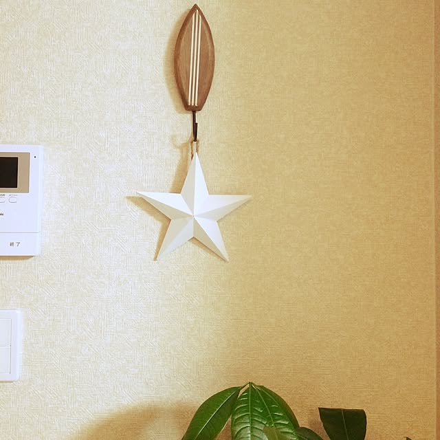 Mayuuuさんの実例写真