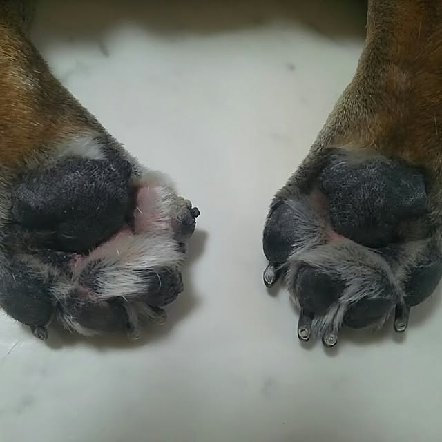 AandPさんの実例写真