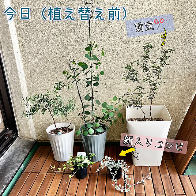 kagomamaさんの部屋