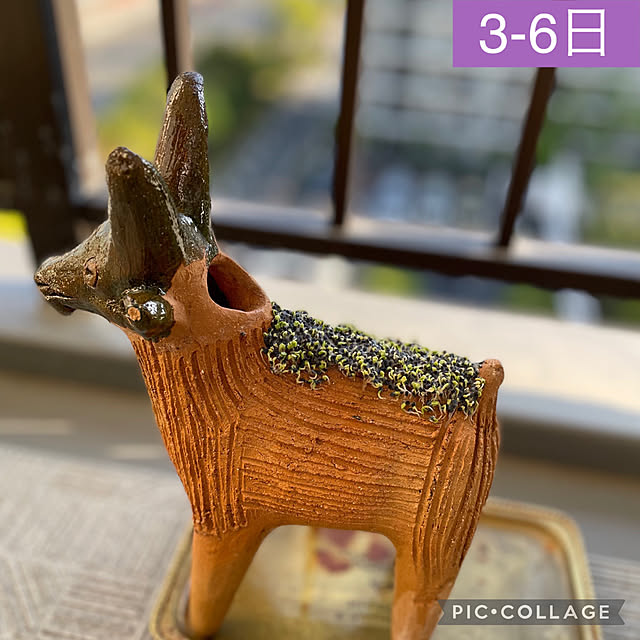 aureaさんの実例写真