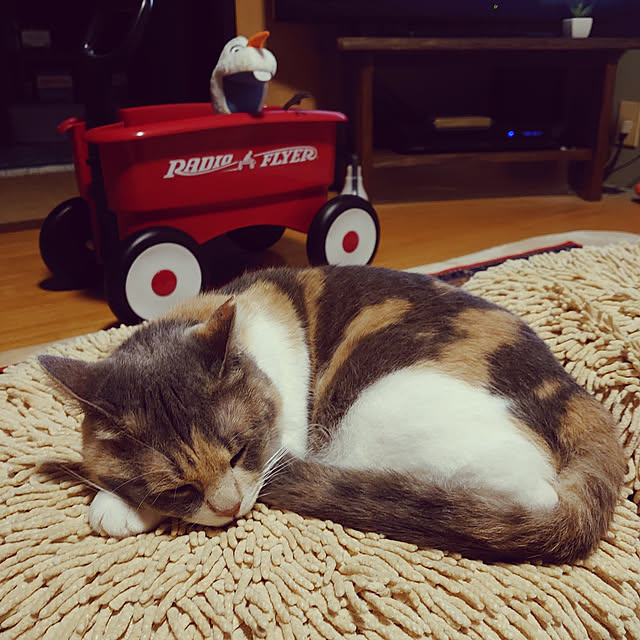 fukuさんの実例写真