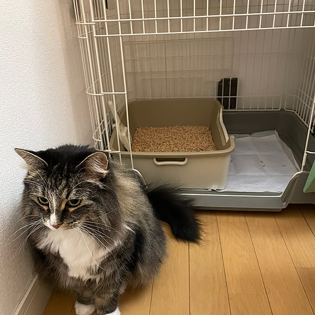 Ishiさんの部屋