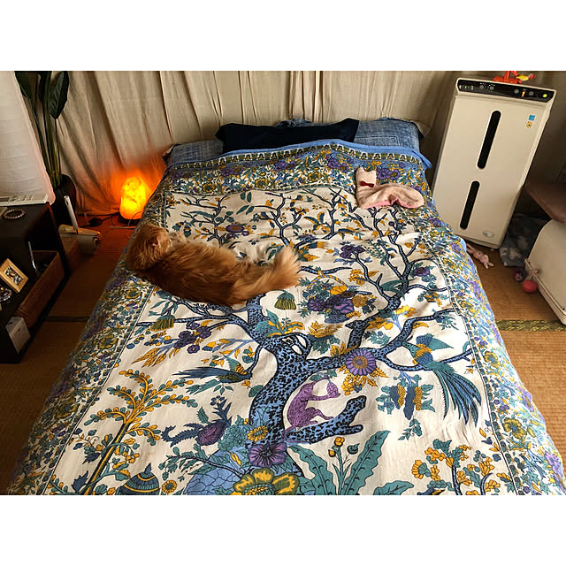 asamiiii1120さんの実例写真