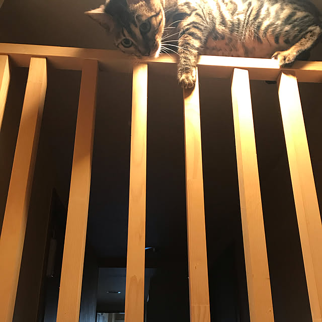 yumuyumuさんの実例写真