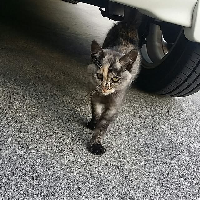 lemoned1126さんの実例写真
