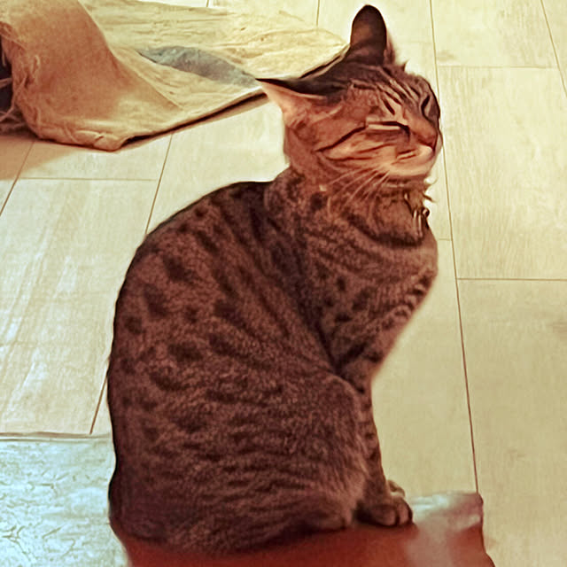 Mさんの実例写真