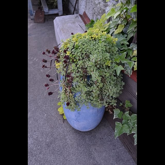 GreenWorksさんの実例写真