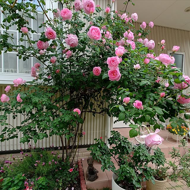 fleur-mamanさんの部屋