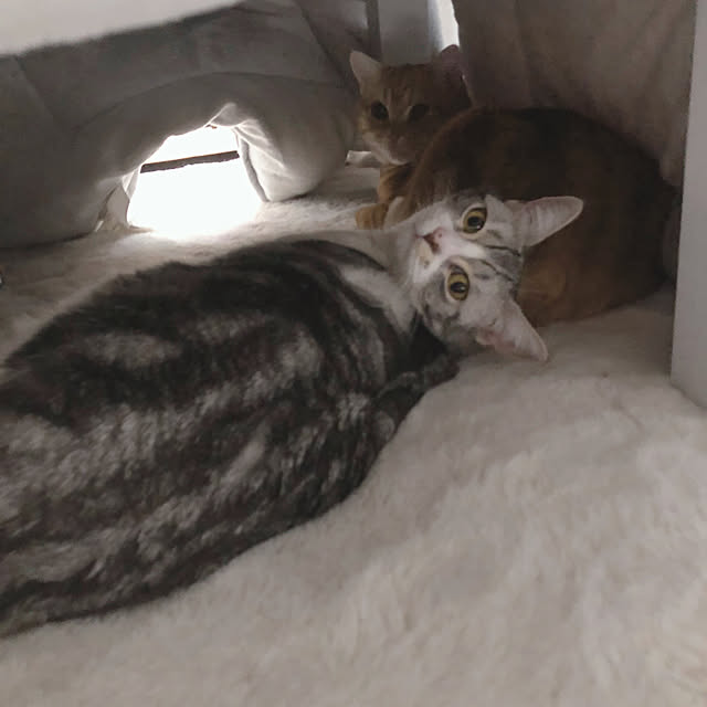 Atelier.mさんの実例写真