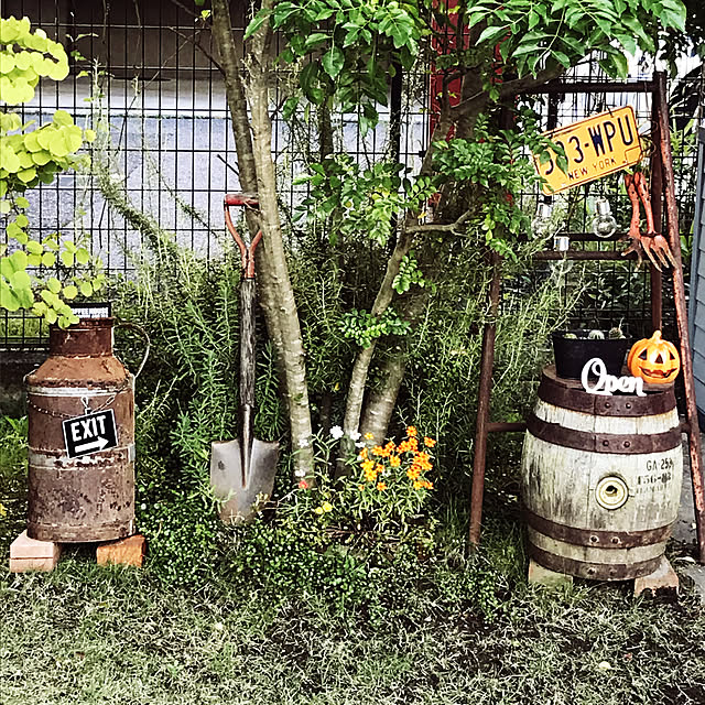 michi-michi39さんの実例写真